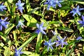 Fruehling2012   037